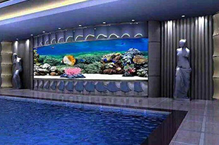 为解决市场需求，合肥店家打造优质的海鲜池已成为刚需