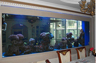 合肥室内鱼池假山选择要点总结：合肥悦龙阁24小时为您服务