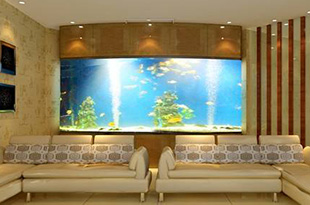 合肥亚克力鱼缸出现划痕肿么破？这样解决就没有后顾之忧了！