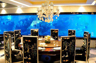 合肥饭店海鲜池设备的选择以及海鲜池温控器的设定